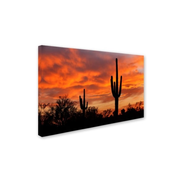 Mike Jones Photo 'Saguaros Amazing Sunset 5' Canvas Art,12x19